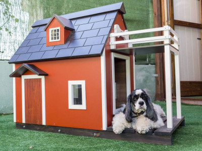 casetas para perros de madero o de plastico